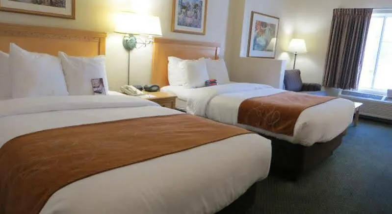 Hotel Comfort Suites Downtown Orlando
