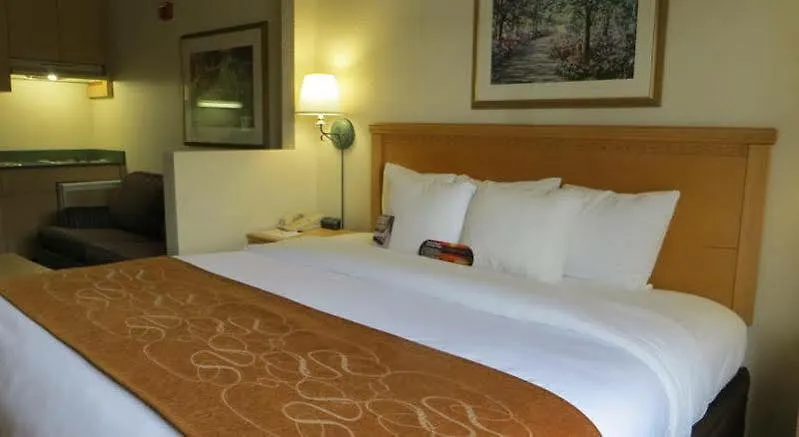 Comfort Suites Downtown Orlando Estados Unidos da América